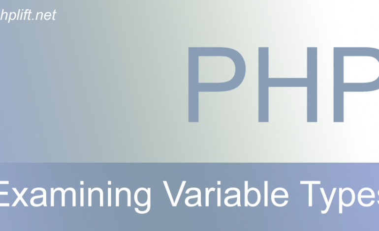 Examining variable types in PHP