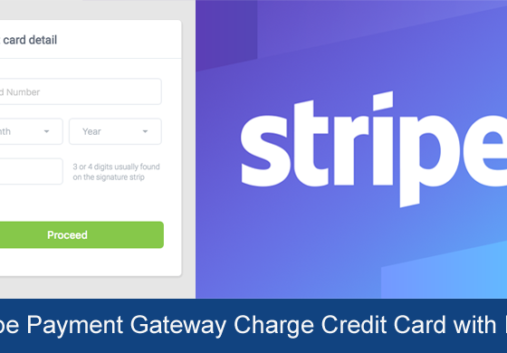 Stripe Payment Gateway Charge Credit Card with PHP Example