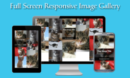 How to create Full Screen Responsive Image Gallery using CSS and Masonry