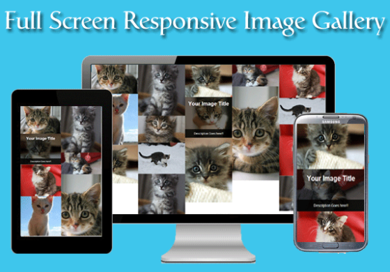 How to create Full Screen Responsive Image Gallery using CSS and Masonry