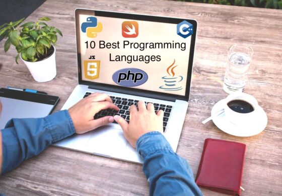 Top Programming Languages in 2024