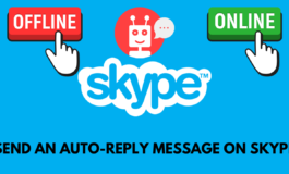 How do I send an auto-reply message on Skype?