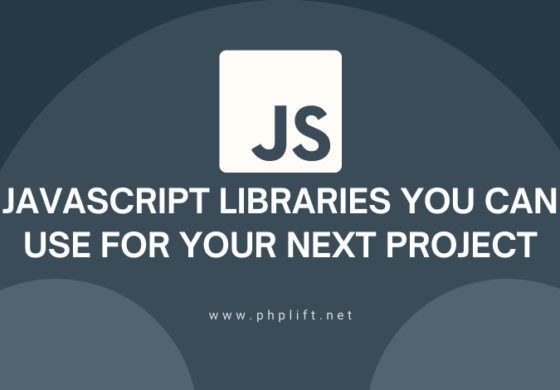 5 JavaScript Libraries You Can Use For Your Next Project